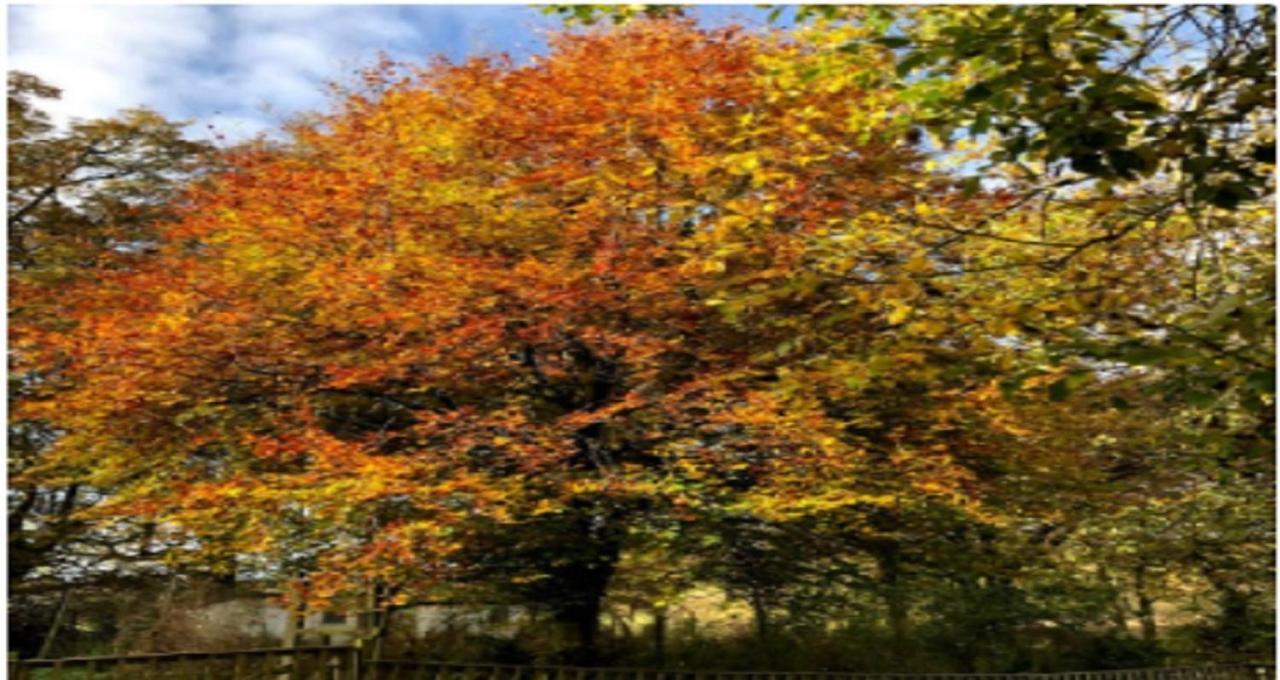 Pirnie Lodge Holiday Lets Slamannan Luaran gambar